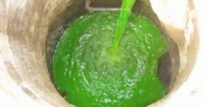 Krupp Whitney Plumbing offers sewer dye testing