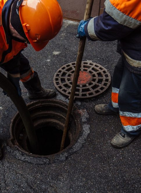 Krupp Whitney Hiring