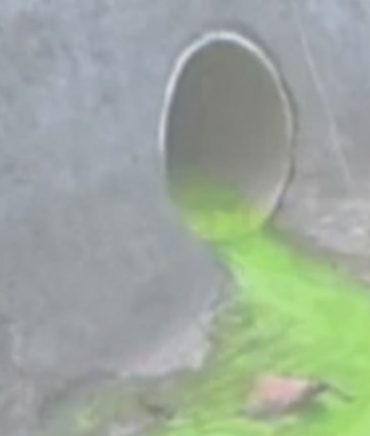 Krupp Whitney Plumbing Dye Testing Sewer and Plumbing Tips Blog